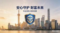 上海诺承保险代理：专业赋能保障服务